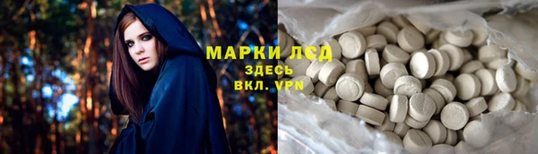 ПСИЛОЦИБИНОВЫЕ ГРИБЫ Слюдянка