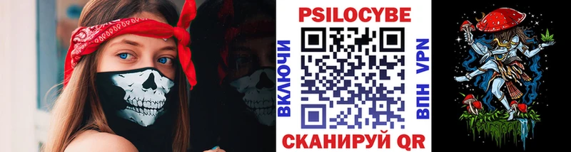 сколько стоит  Очёр  Псилоцибиновые грибы GOLDEN TEACHER 